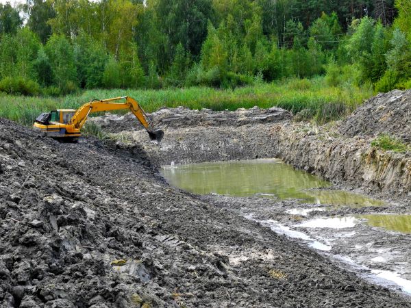 Cost of Lake Lot Clearing in Warwick