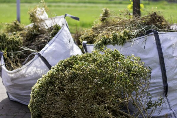 Cost of Bushes Clearing in Warwick