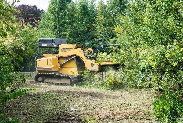 Cost of Pathway Clearing in Warwick