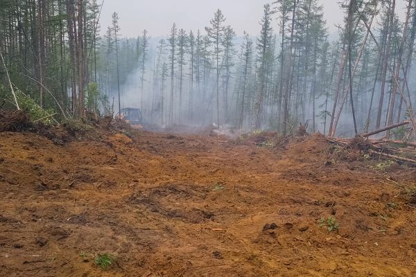 Cost of Hill Clearing in Warwick