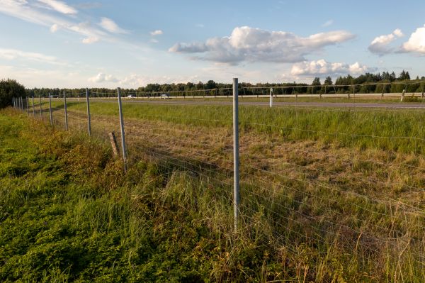 Cost of Property Line Clearing in Warwick