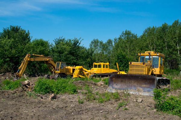Cost of Bulldozer Clearing in Warwick