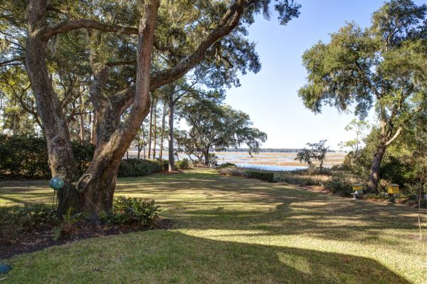 Cost of Lakefront Property Clearing in Warwick