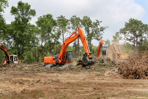 Cost of Commercial Lot Clearing in Warwick