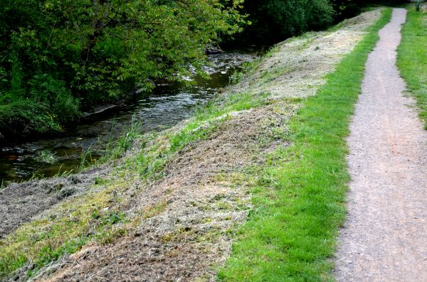 Cost of Trail Cutting in Warwick