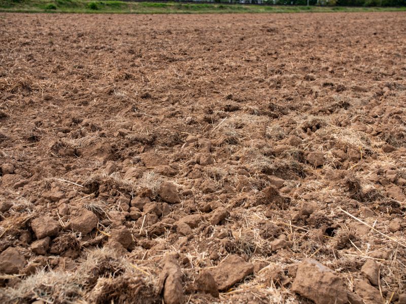 Land Preparation Service